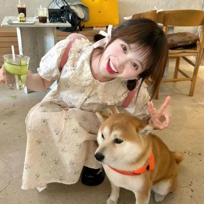 迷蝶