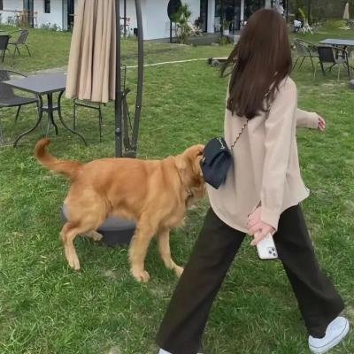 我们的歌
